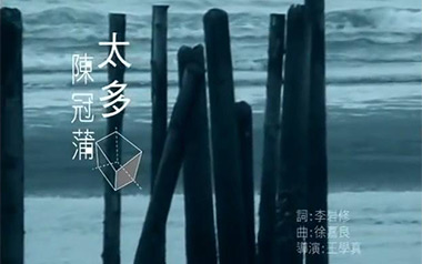 太多吉他谱_陈冠蒲_G调指法简单版弹唱谱_图片六线谱